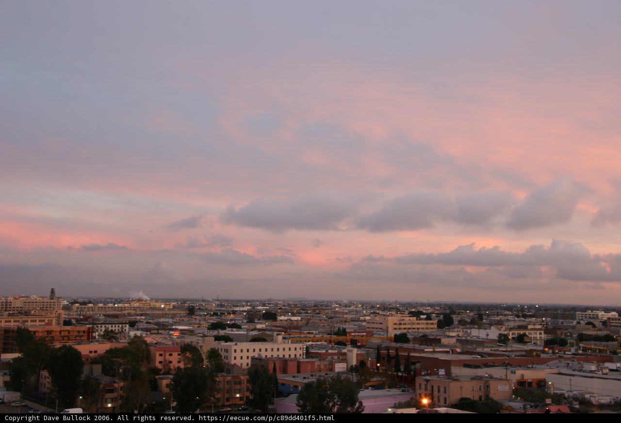 Pink Sky Over the Urban Jungle