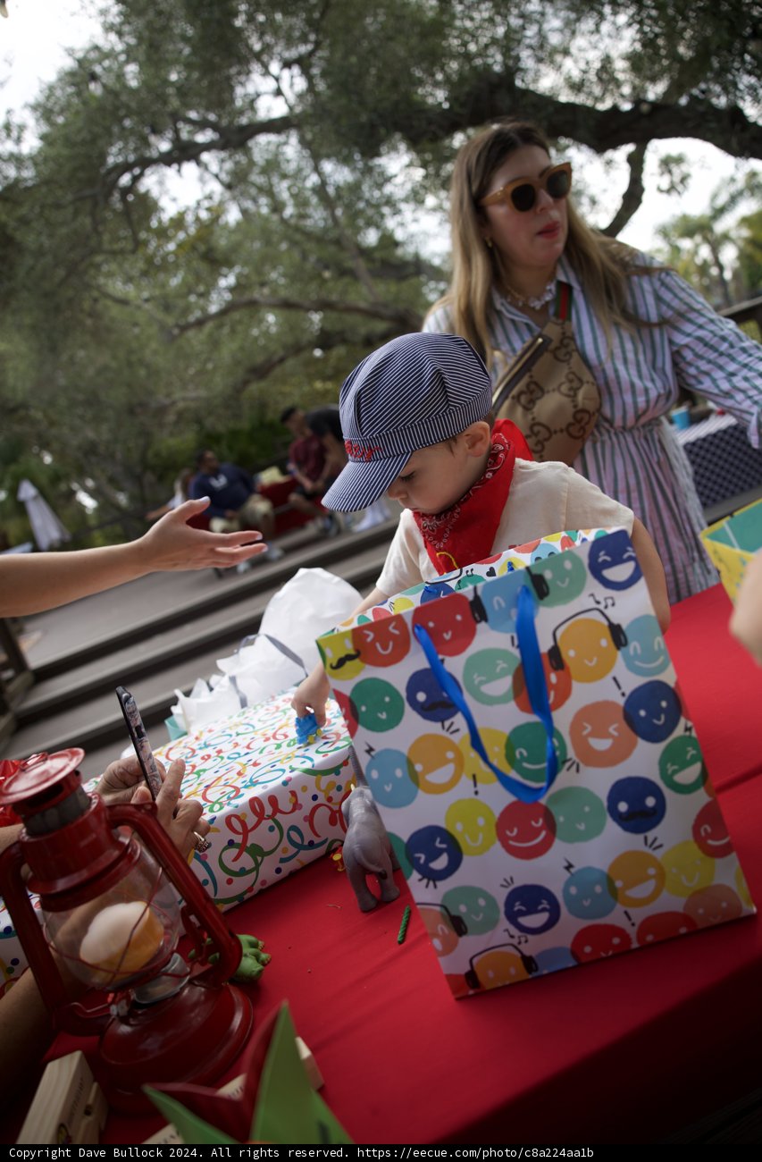 Joyful Celebrations Under the Oaks