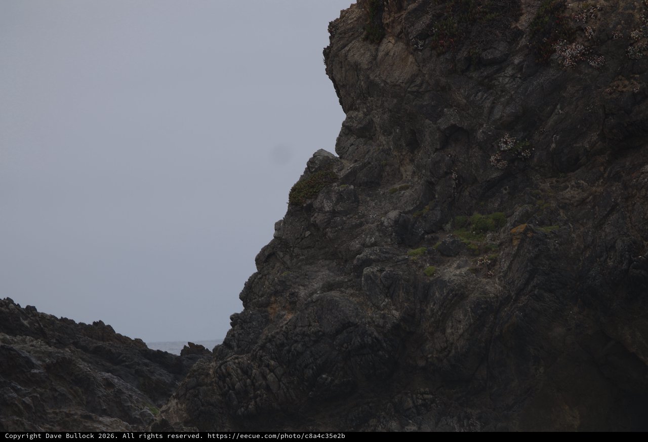Rugged Coastal Cliffs Draped in Sea Thrift Blooms
