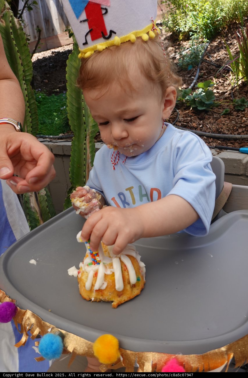 Birthday Bliss