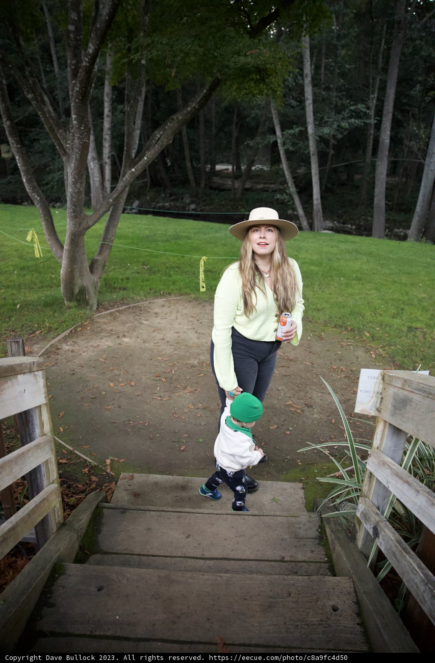 The Tranquil Path: A Big Sur Moment.