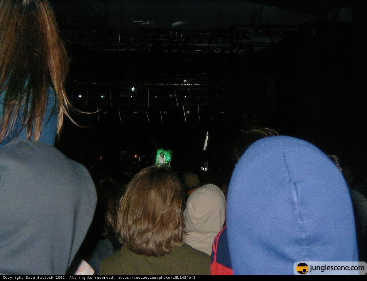 Hoodie in the Crowd