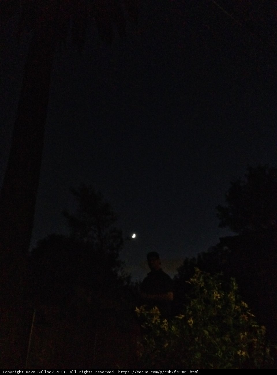 Moonlight Serenade