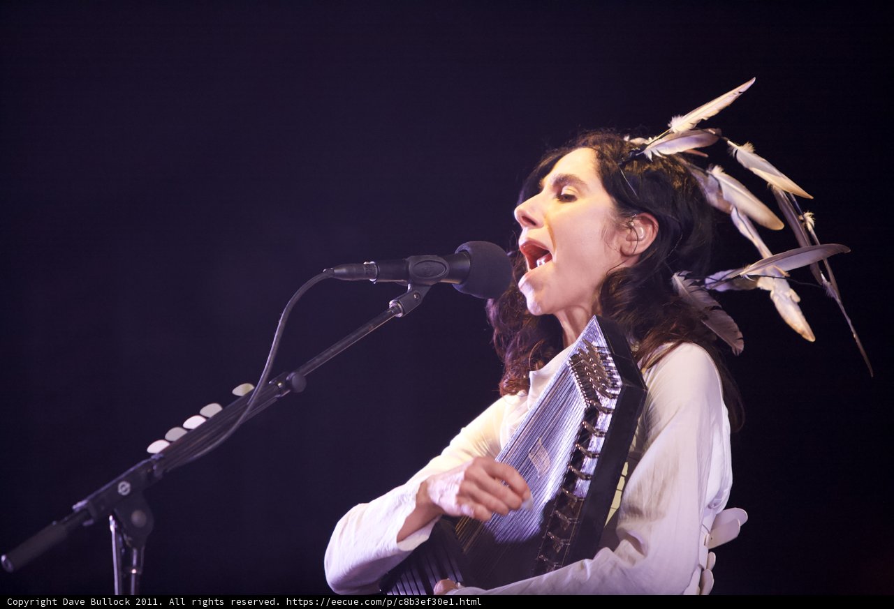 Feathered Songstress