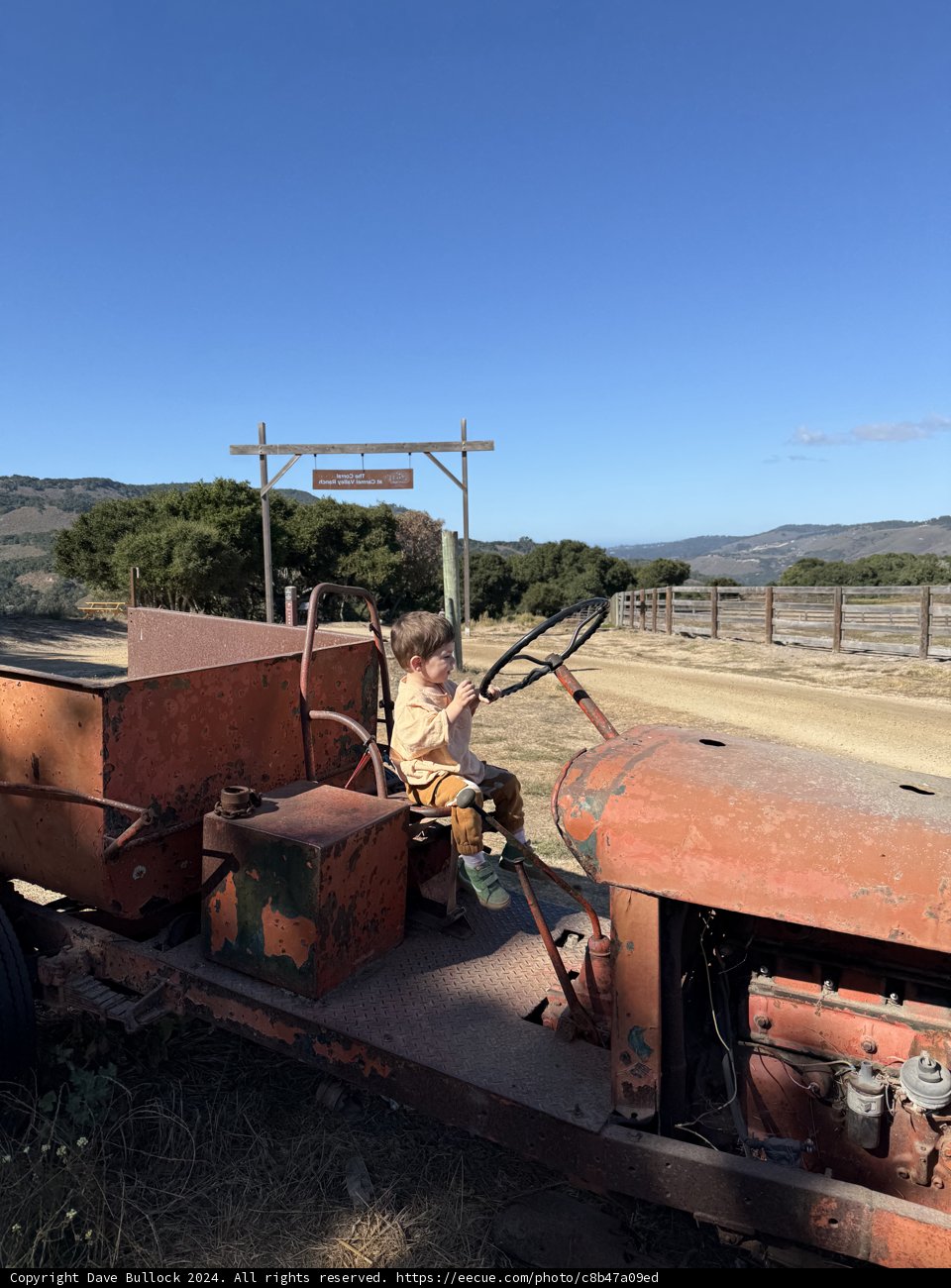 A Child's Adventure in the Countryside