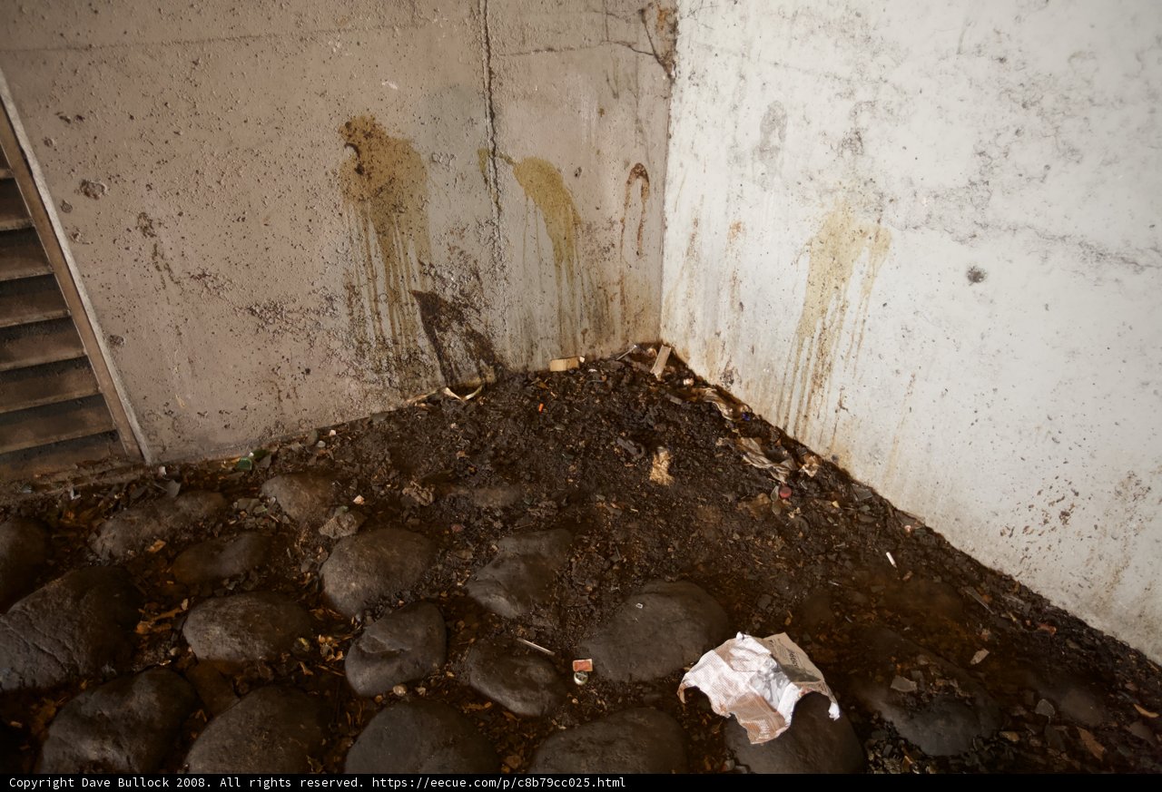The aftermath of neglect