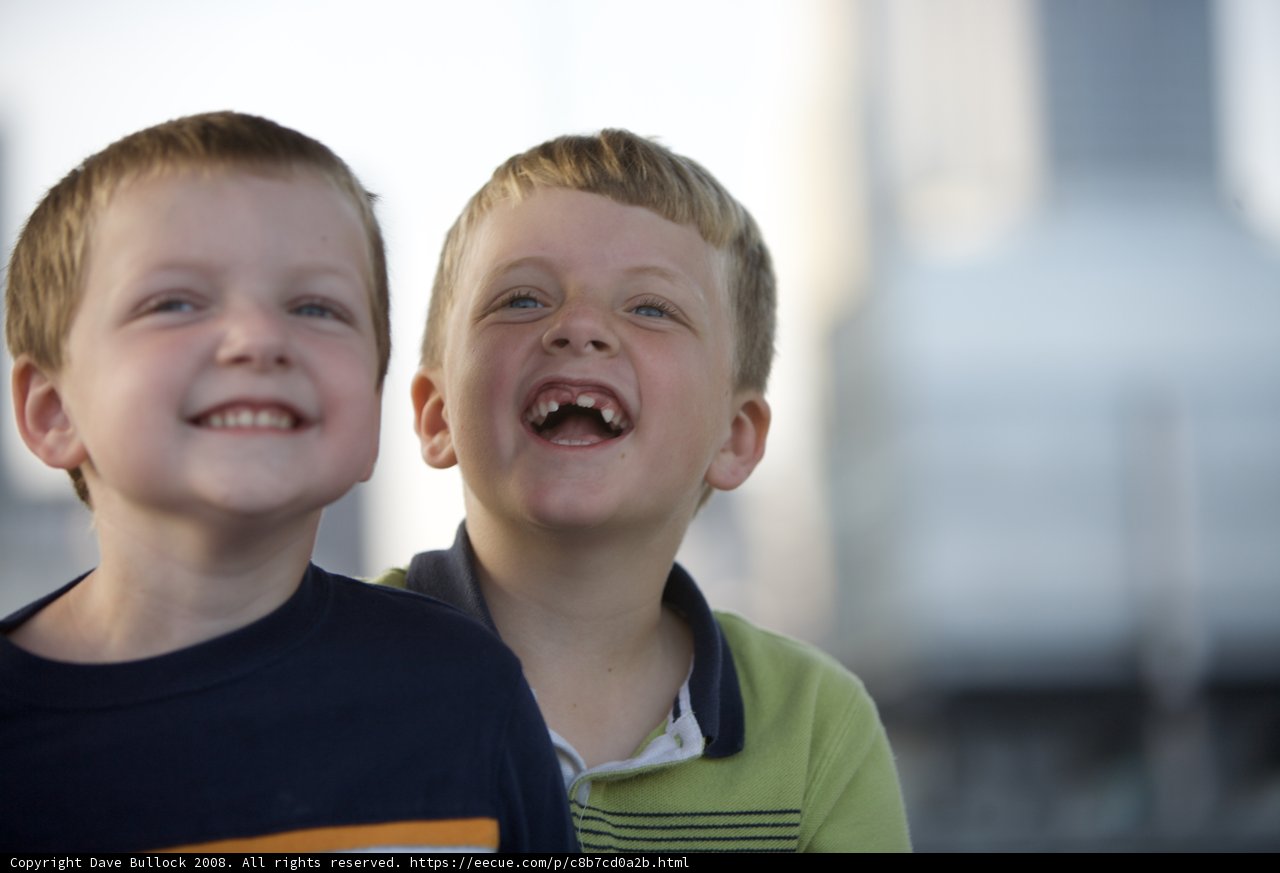 Joyful Companions