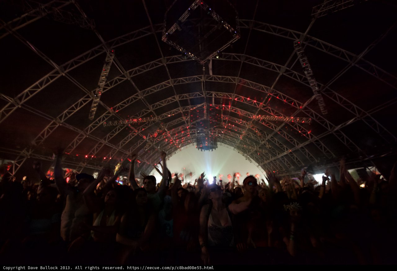The Electric Crowd at Coachella Nightlife