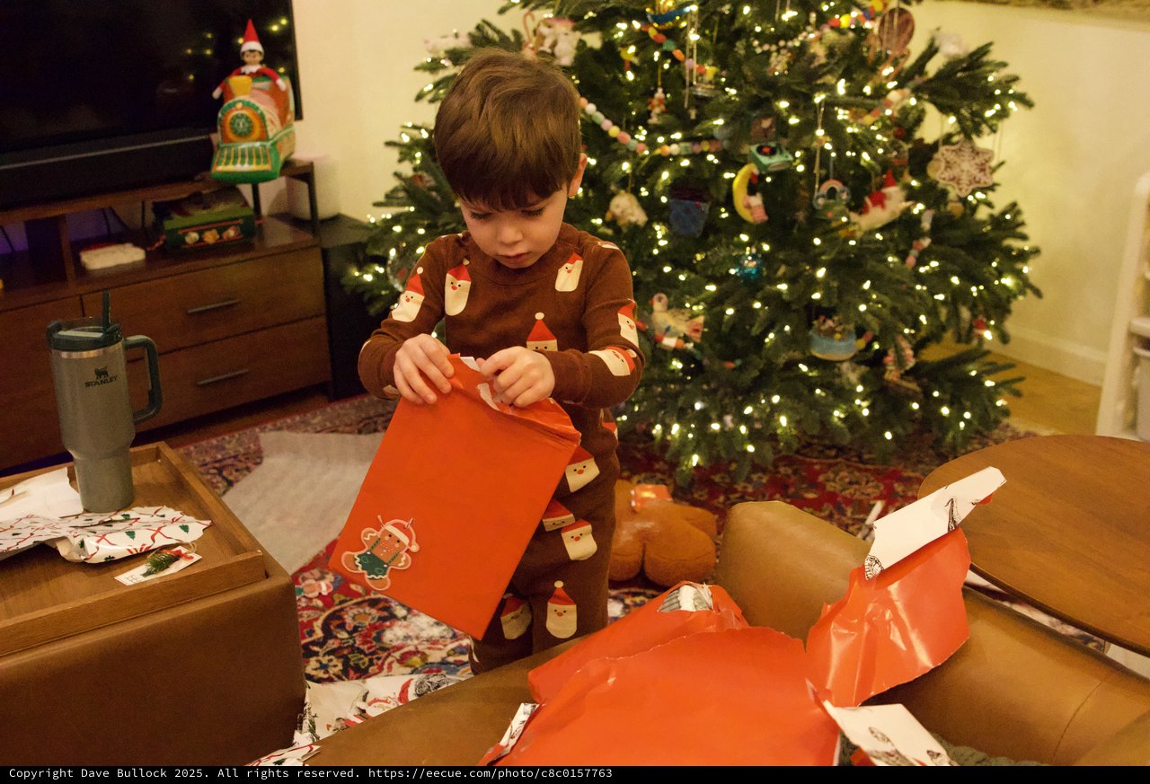 Young Boy Opening Christmas Gifts by Decorated Tree