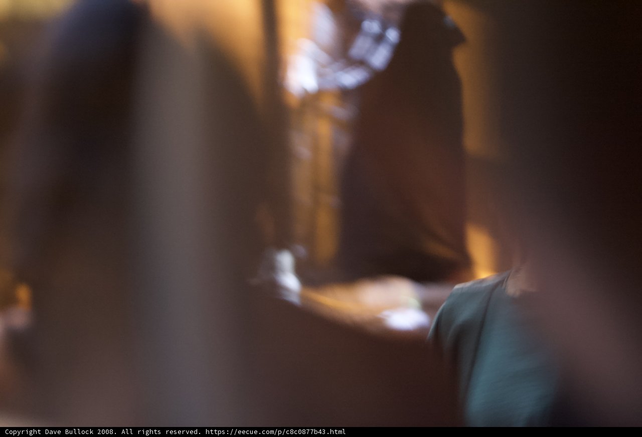 Blurred Woman in a Crowded Concert