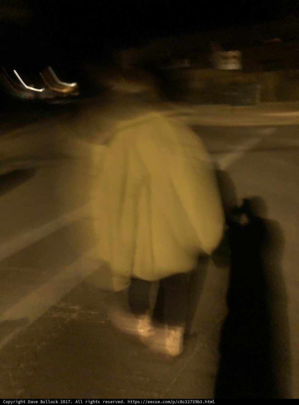 Nighttime Stroll
