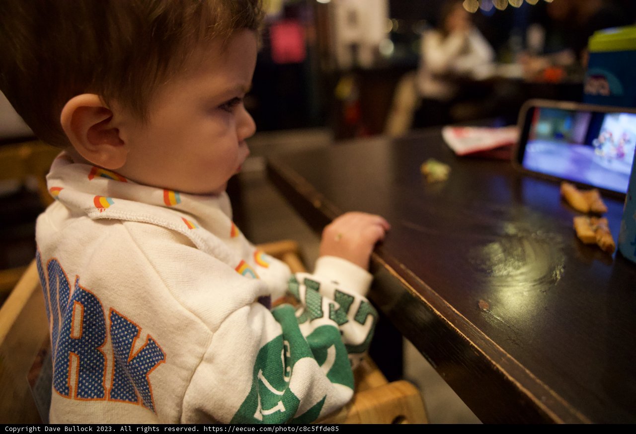 The Young Technophile