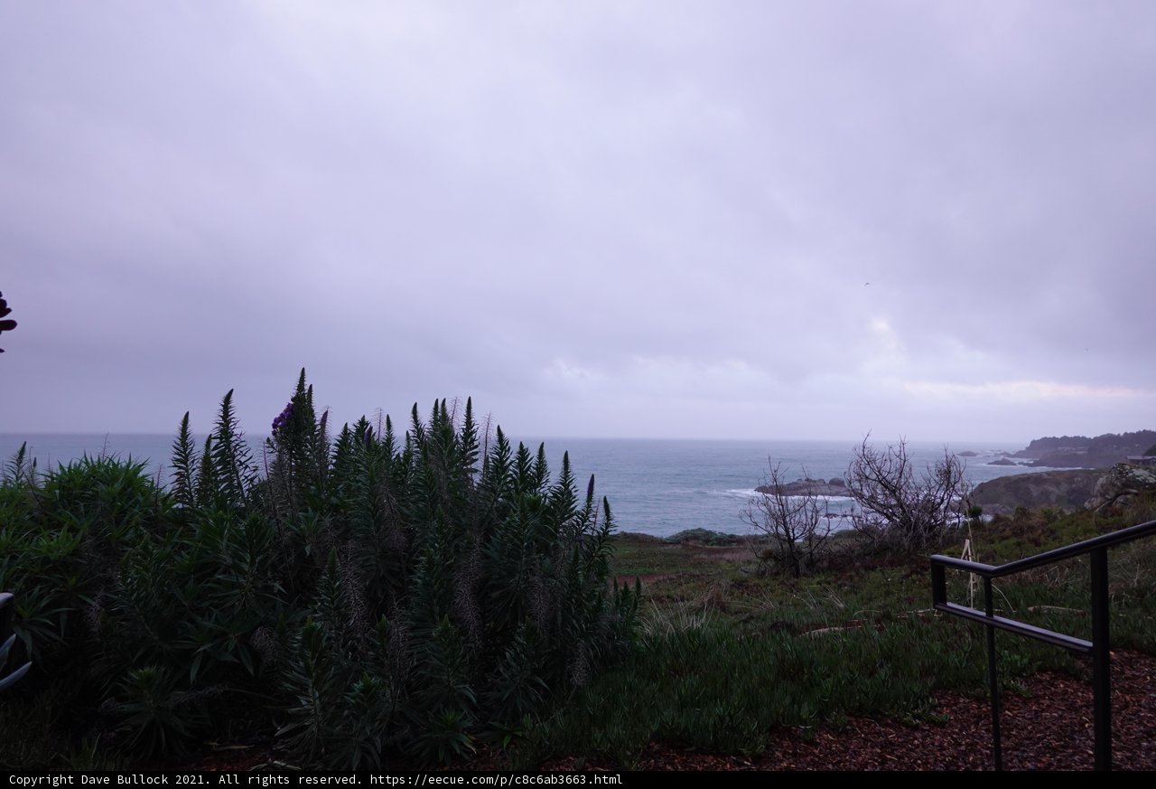 A Scenic View of the Pacific Ocean from Jenner Hillside