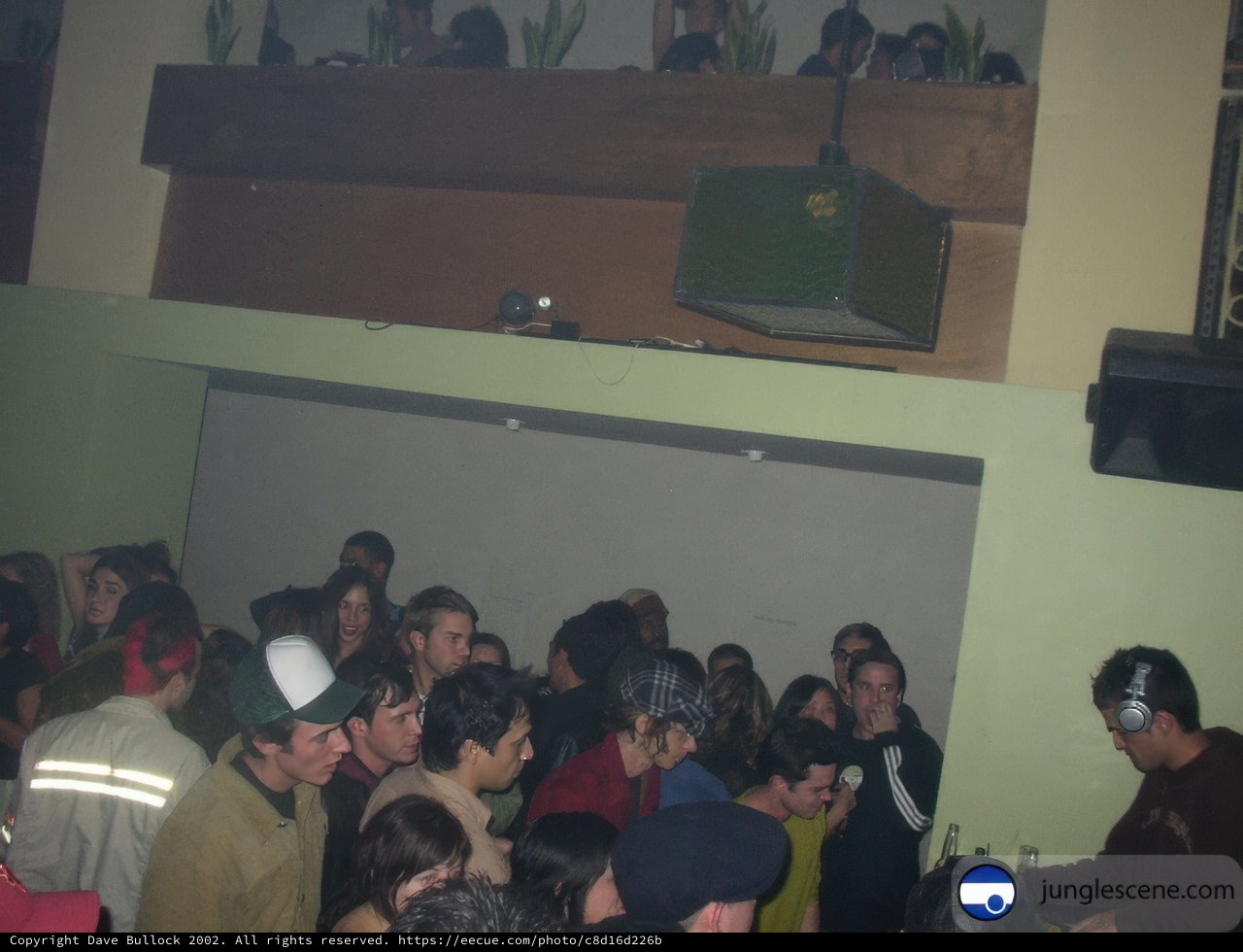 Jamming out with the crowd