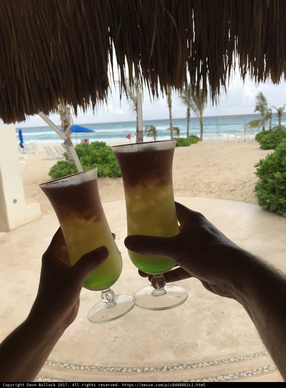 Toasting to a Tropical Escape