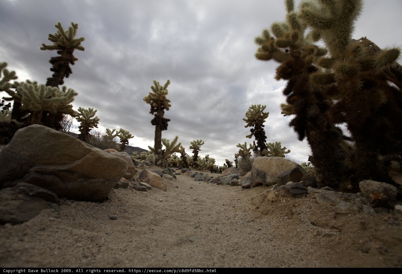 Journey through the Desert