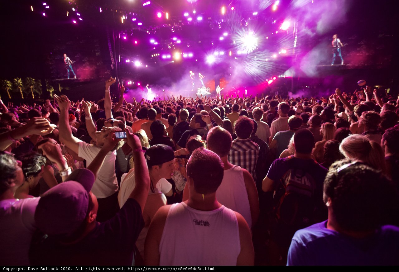 Purple Haze at Coachella