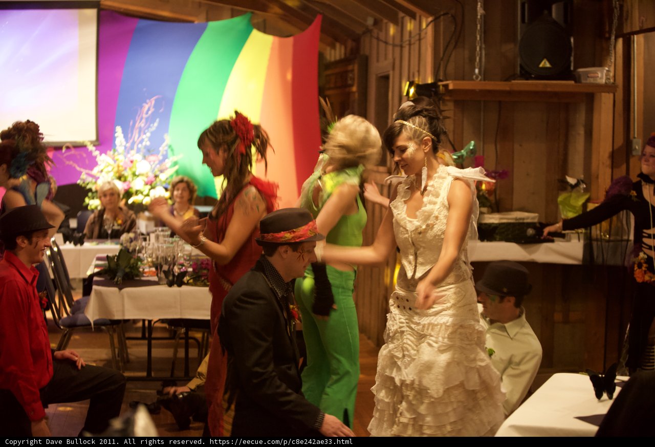 Wedding Bliss