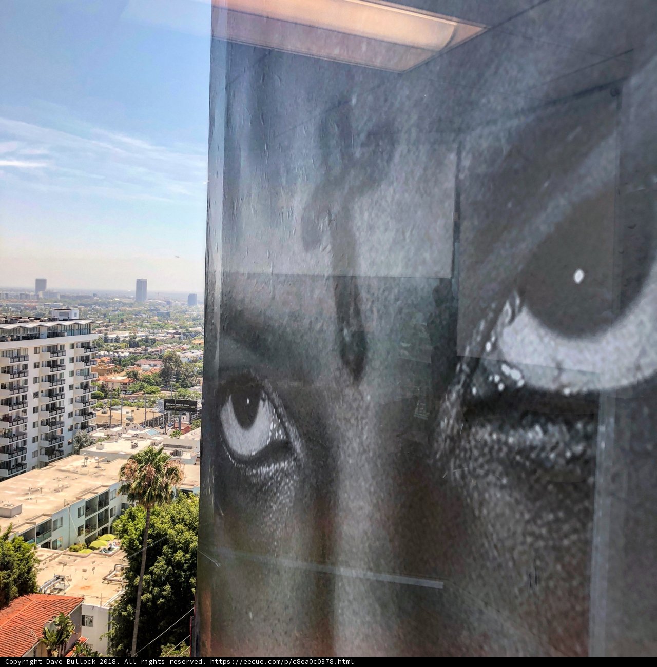 The Eyes of the City