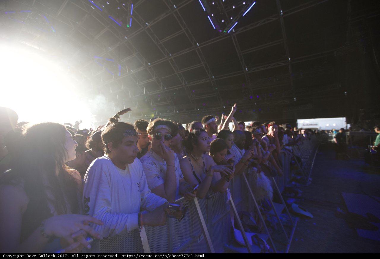 The Radiant Crowd at Coachella