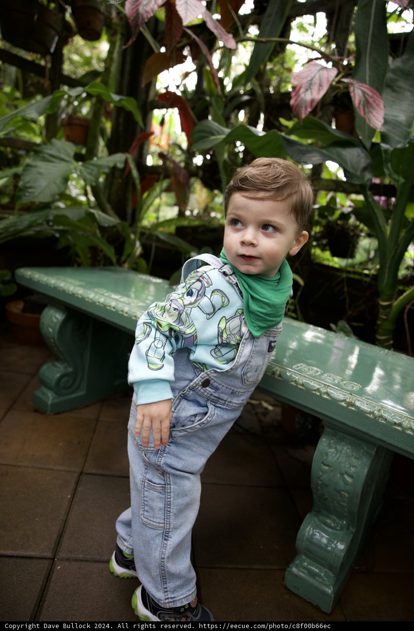 Innocence Amidst Blooms - Gardens of Golden Gate Park