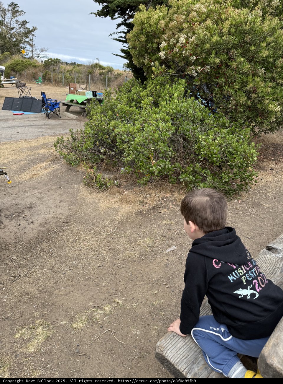 Quiet Reflection in Cambria