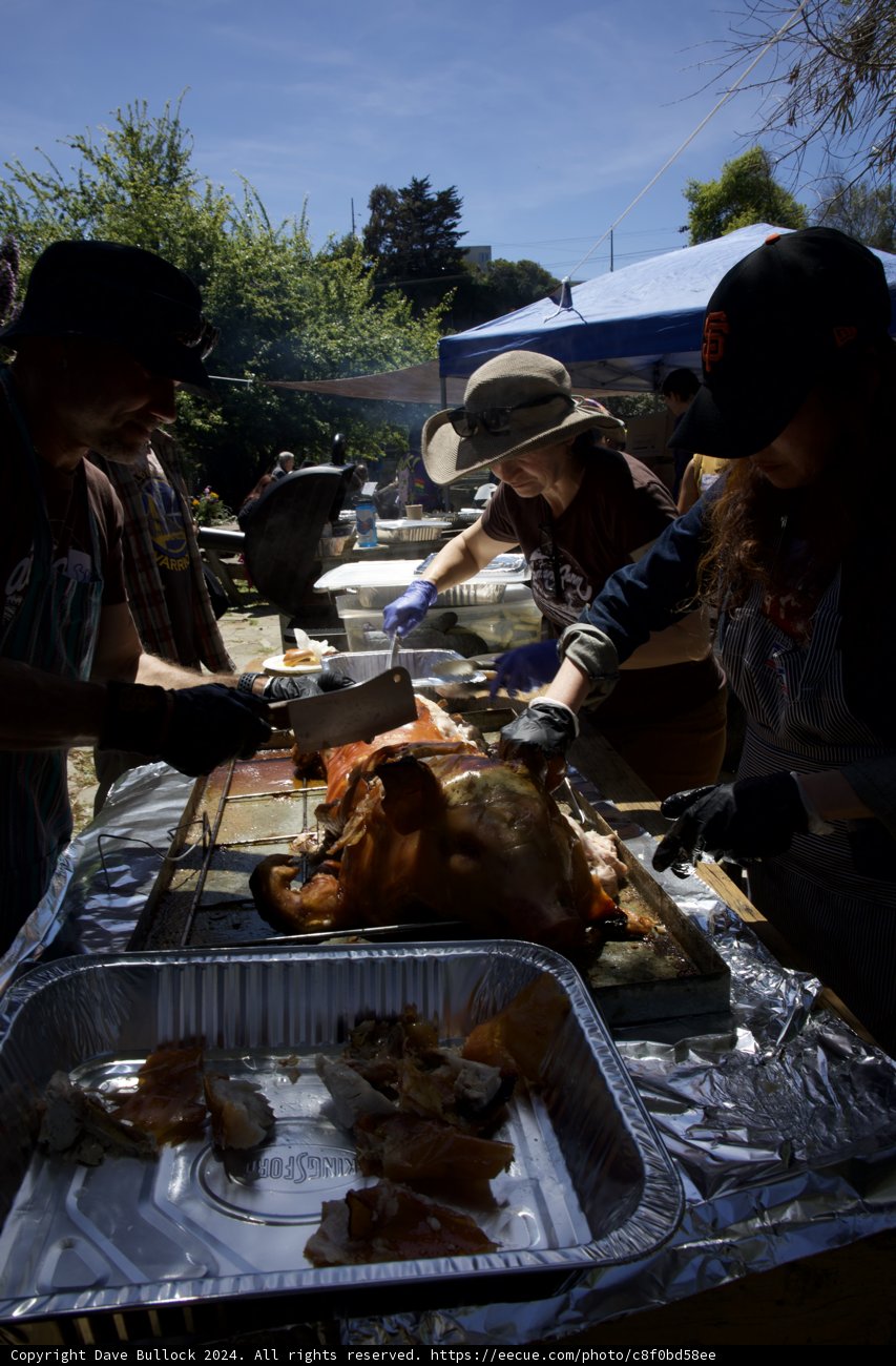 Communal Joy at Earth Day Celebration - The Art of Outdoor Cooking