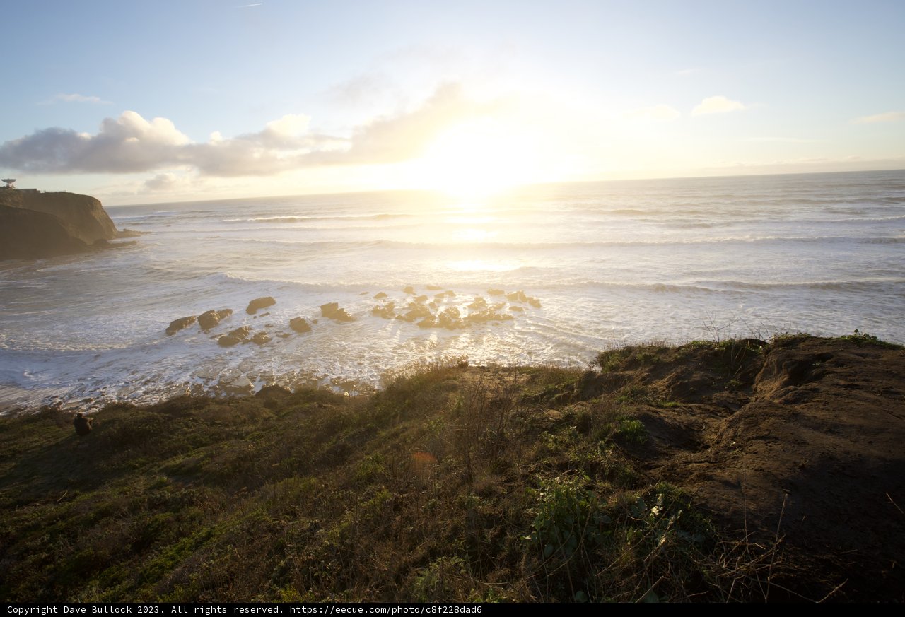 Embracing the Pacifica's Shimmering Waves