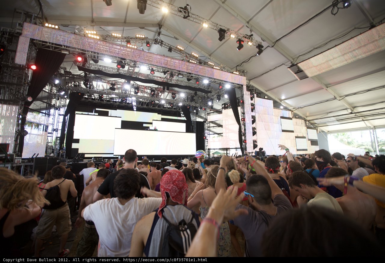 Coachella Crowd Goes Wild