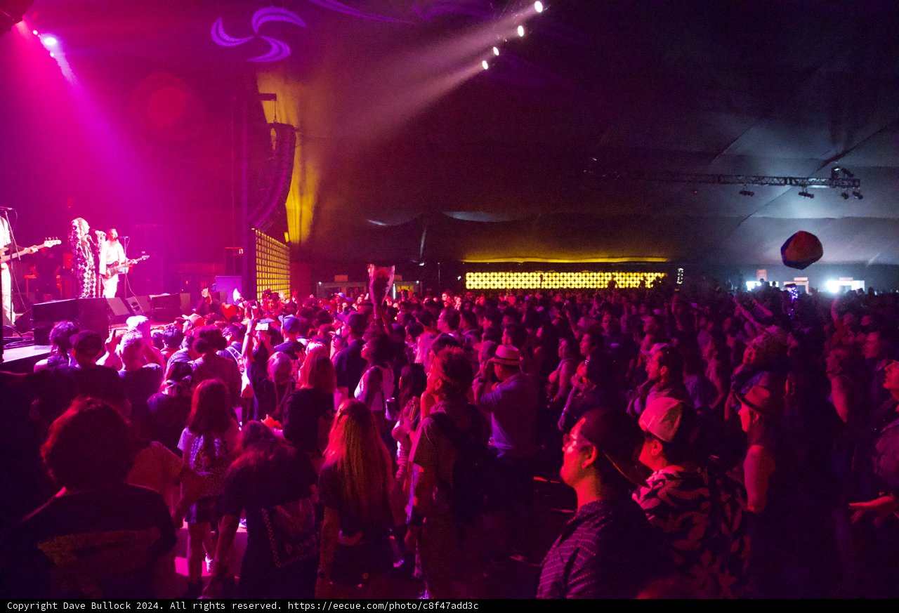 Electric Vibes at Coachella 2024 WK2