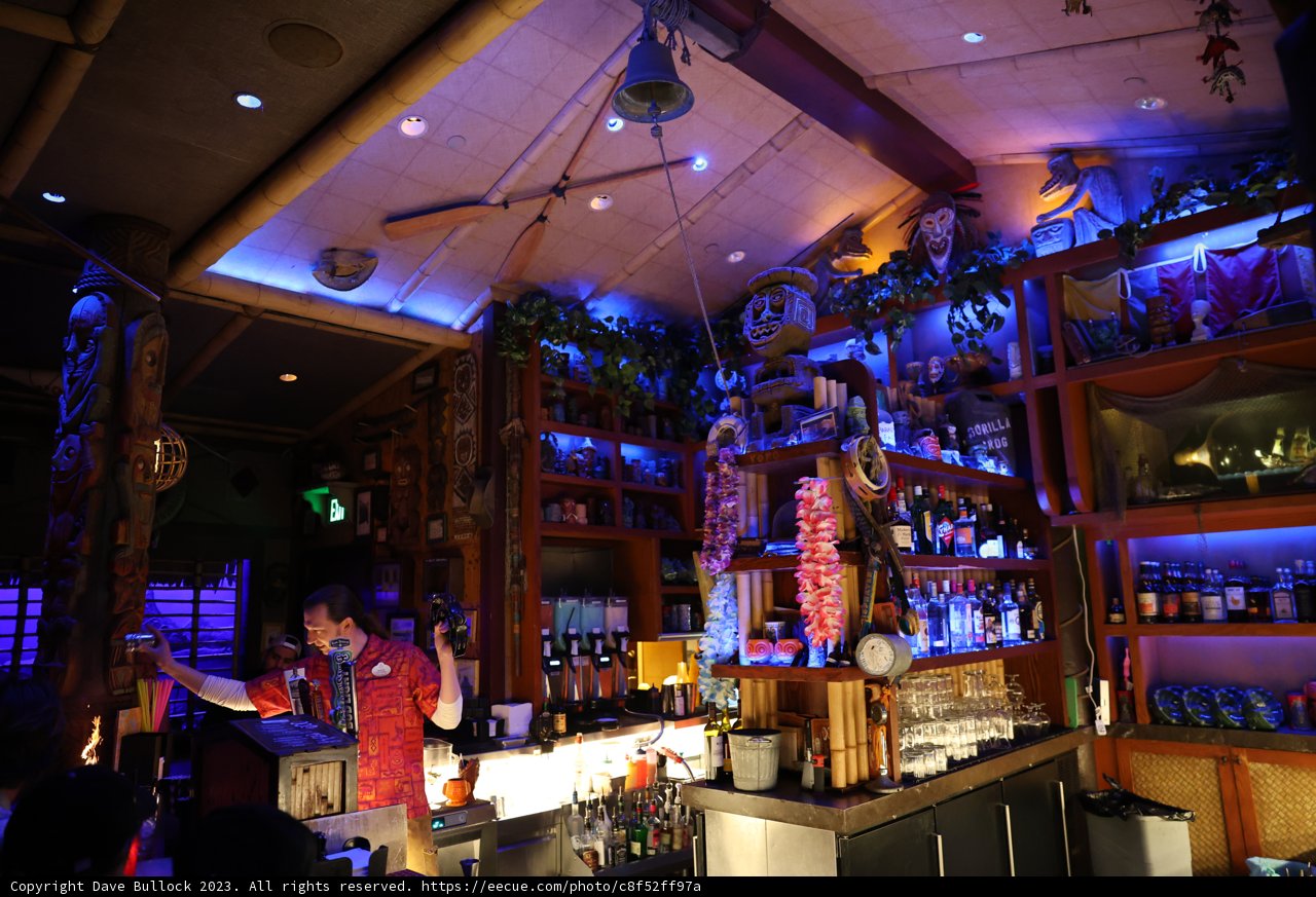 Nightlife at the Urban Bar