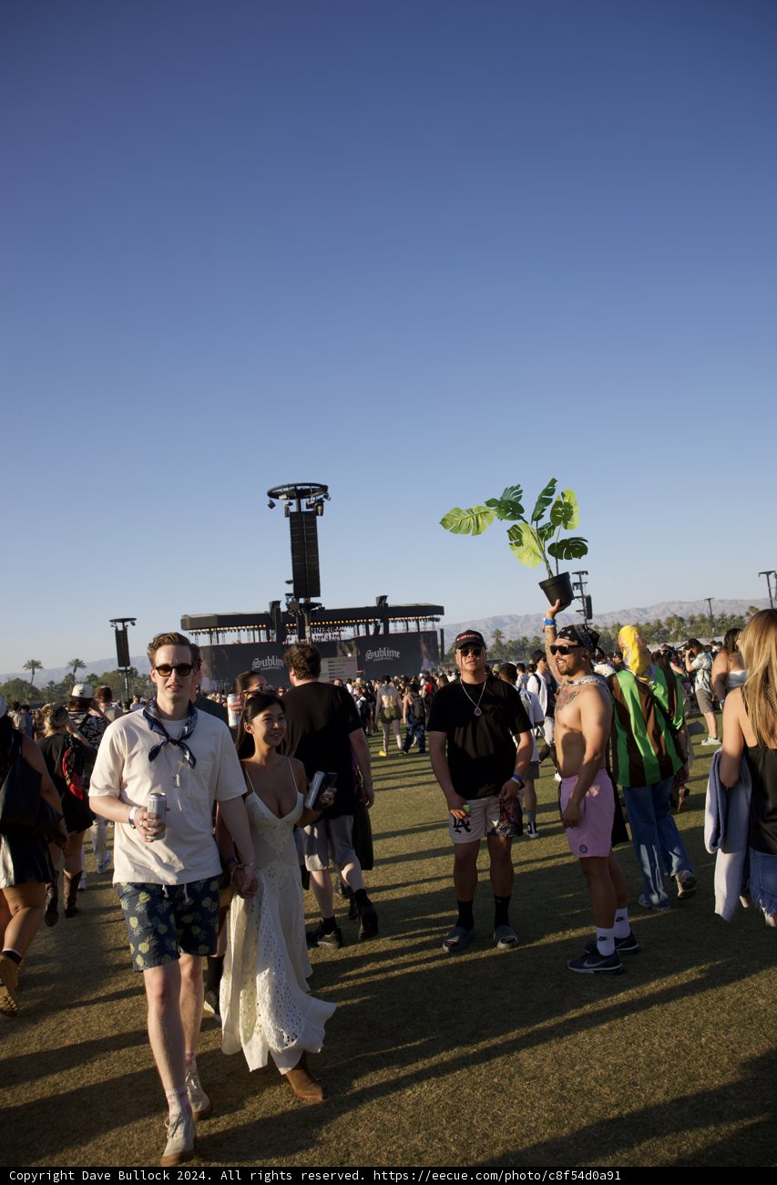 Festival Vibes at Coachella 2024