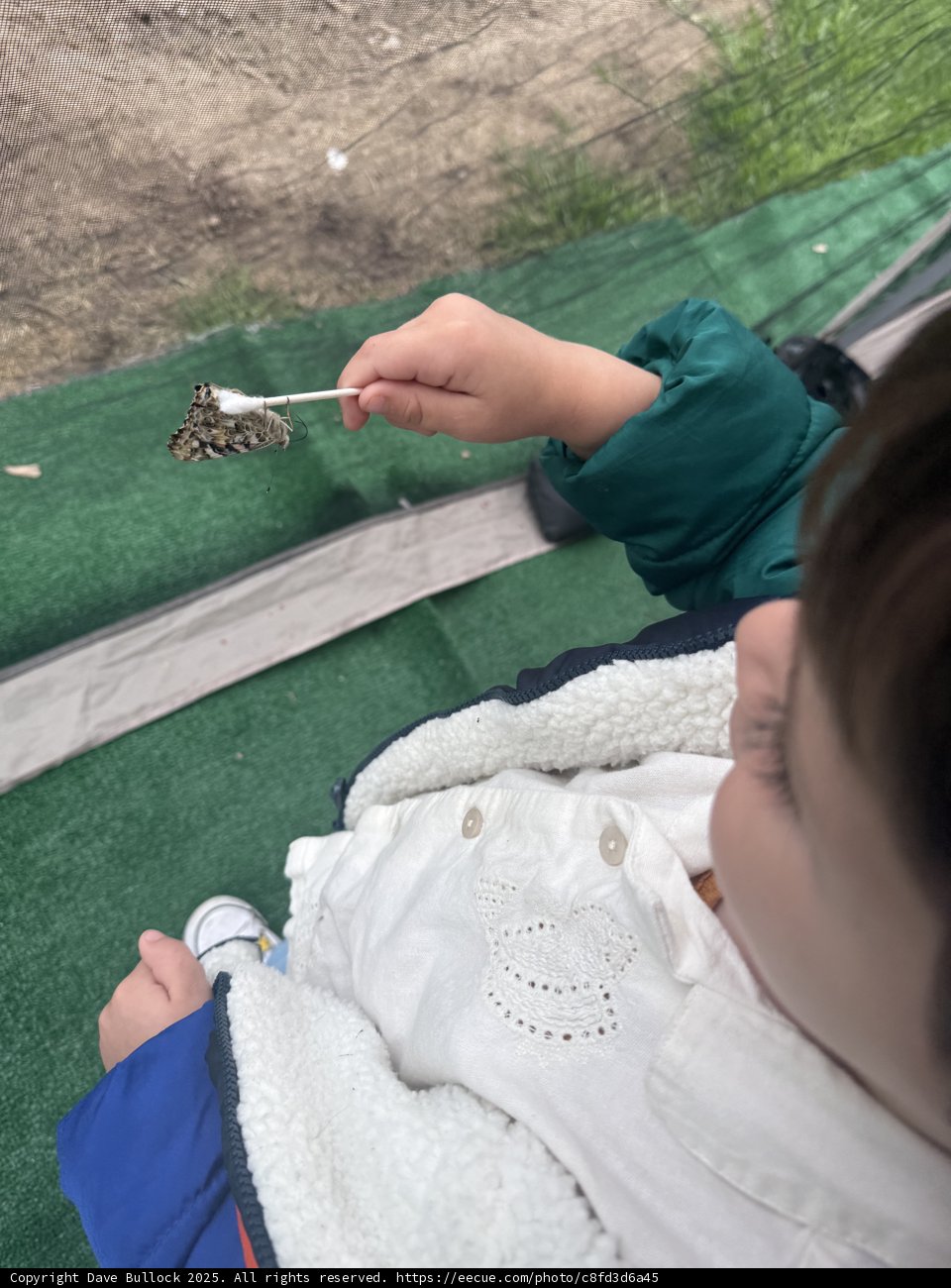 Nature's Gentle Touch