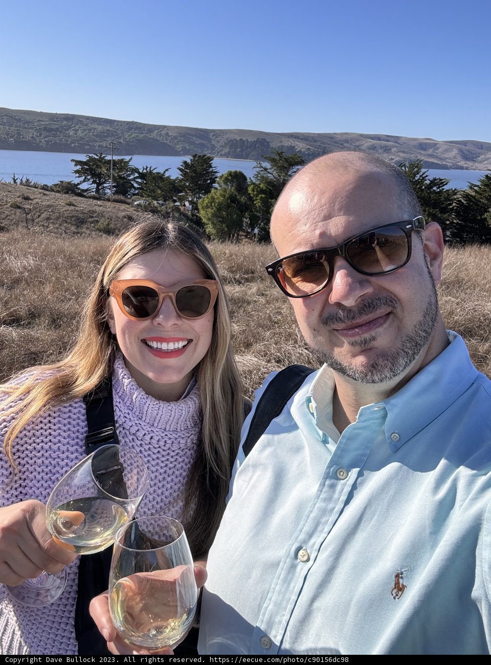 Sunlit Toast in The Vineyards of Marshall, California