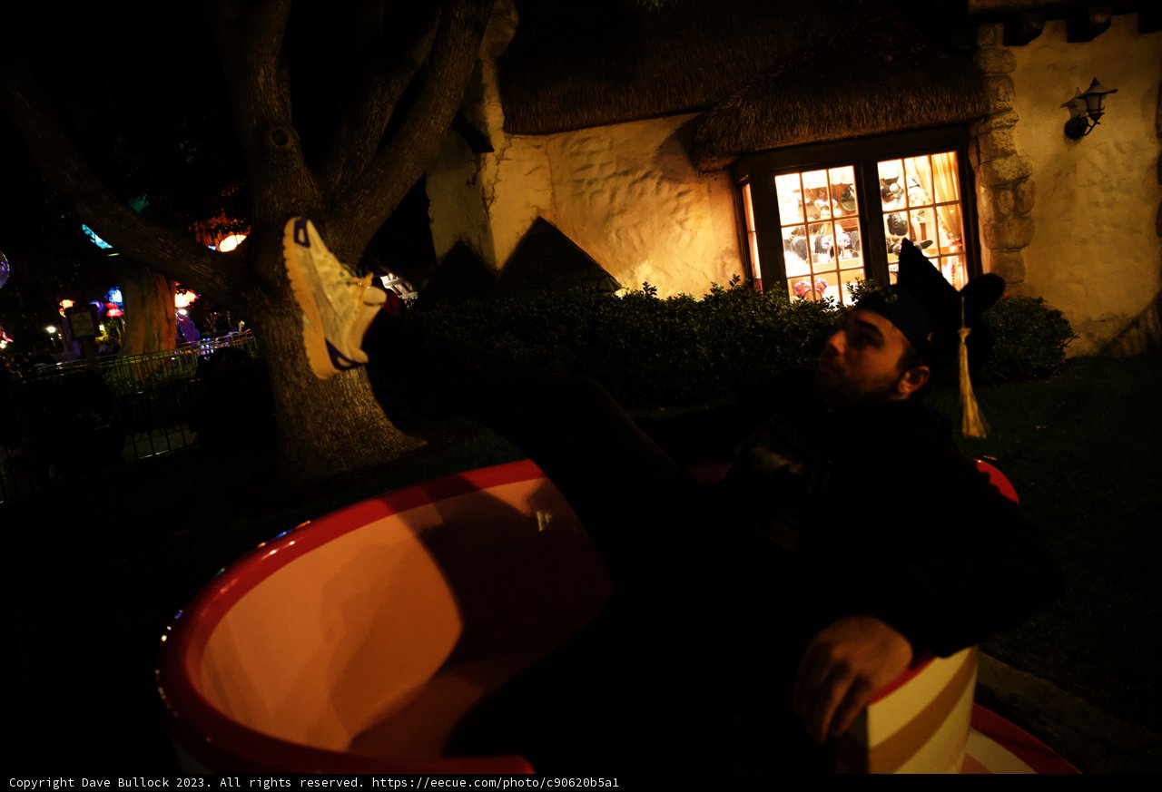 Magical Moments at Disneyland