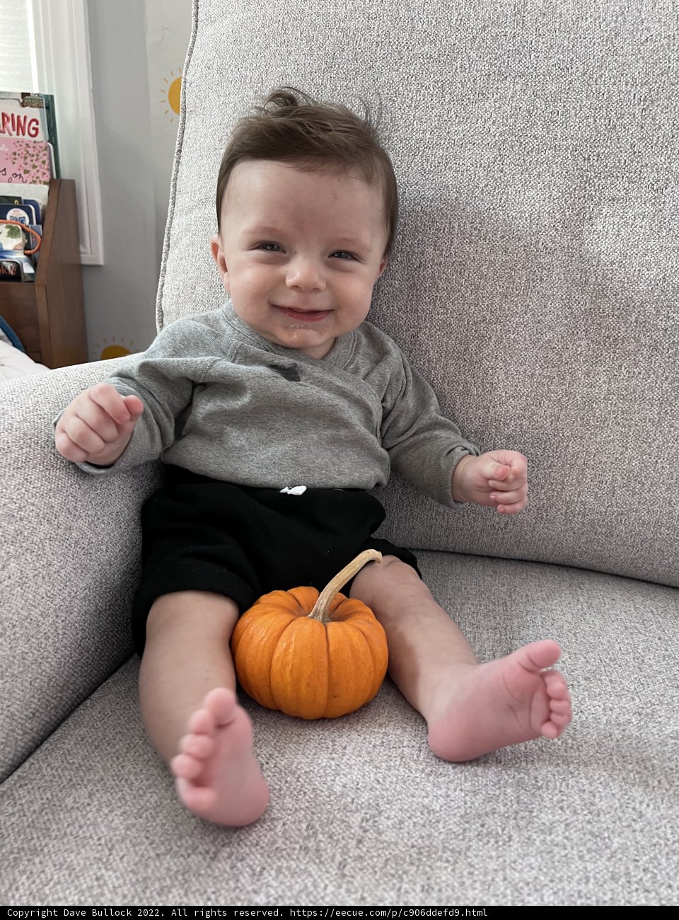Pumpkin Pals
