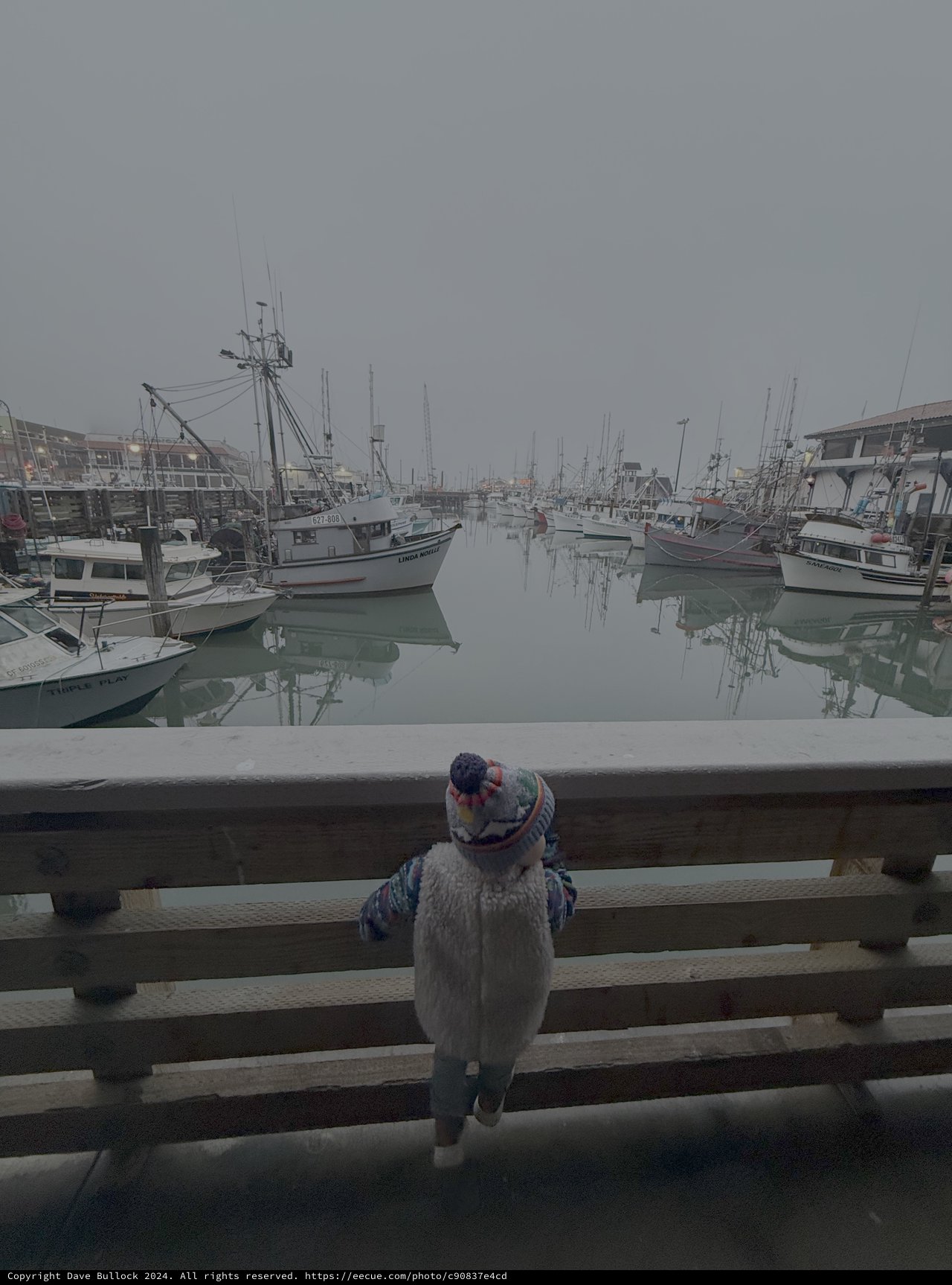 Child Watching Boats in Foggy Harbor