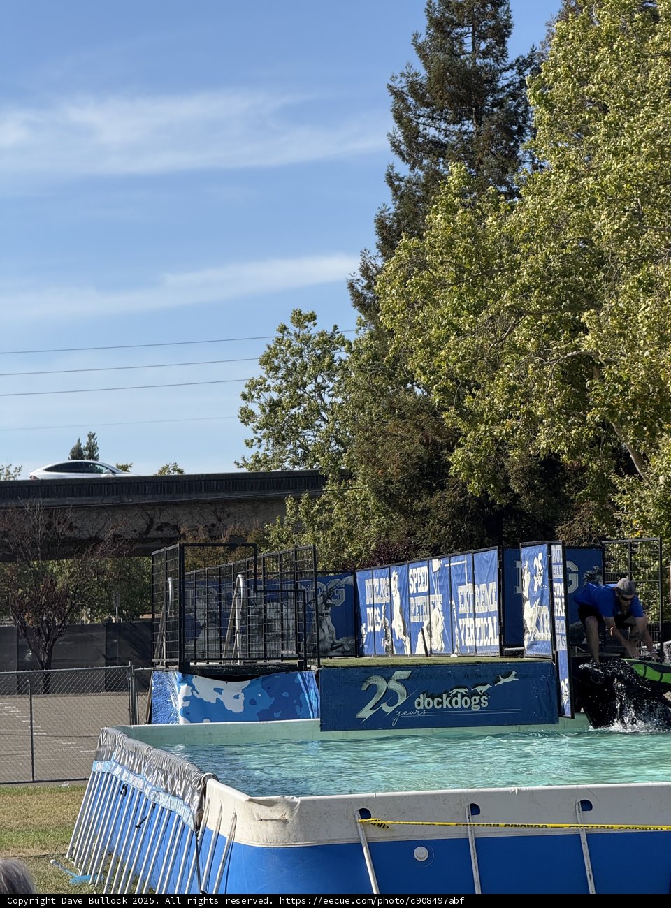 Summer Splash in Santa Rosa