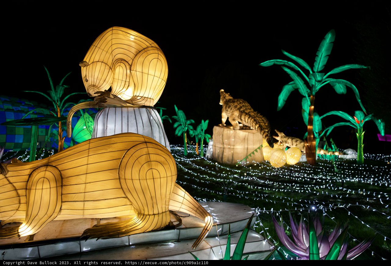 Dinosaur Delight: The Lighted Spectacle at the Glowfari Oakland Zoo