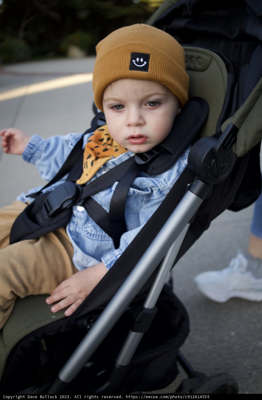 A Stroll in the SF Zoo, November 2023