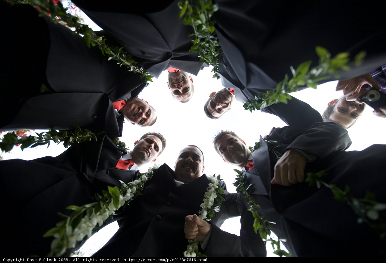 The Wedding Party