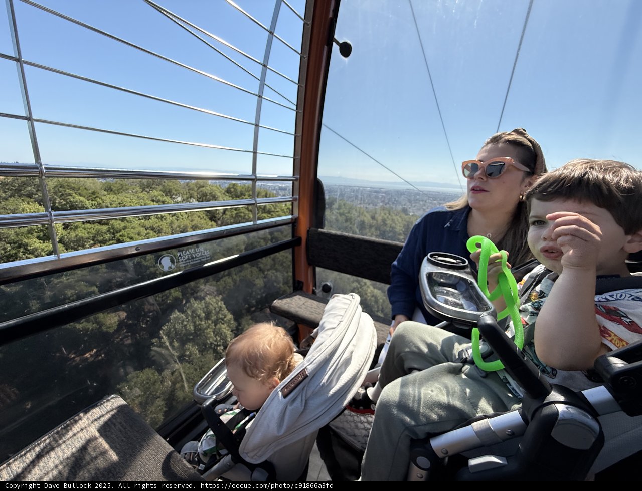 Soaring Above the Oakland Zoo