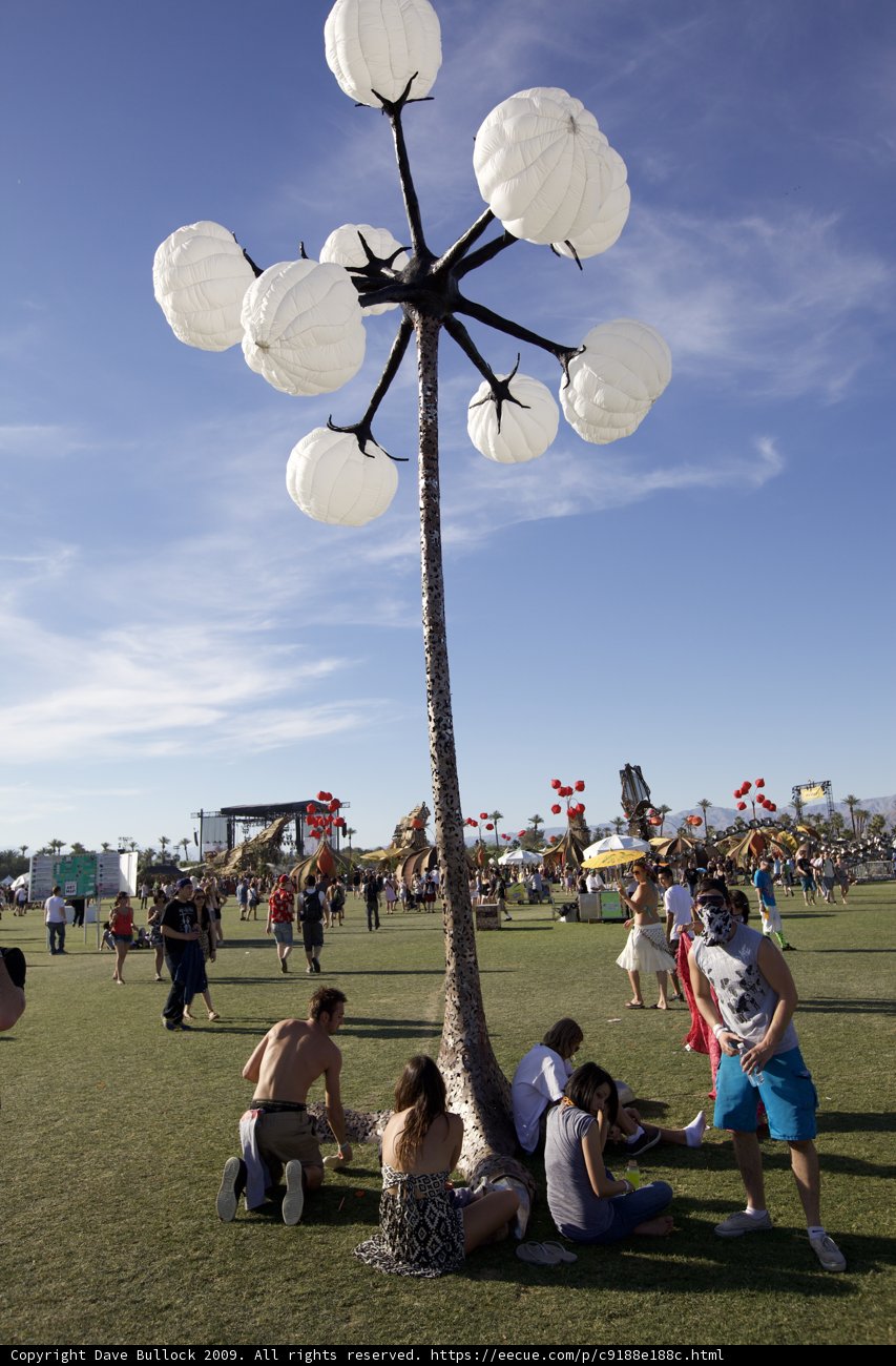 A Relaxing Afternoon Under the Tree at Coachella 2009