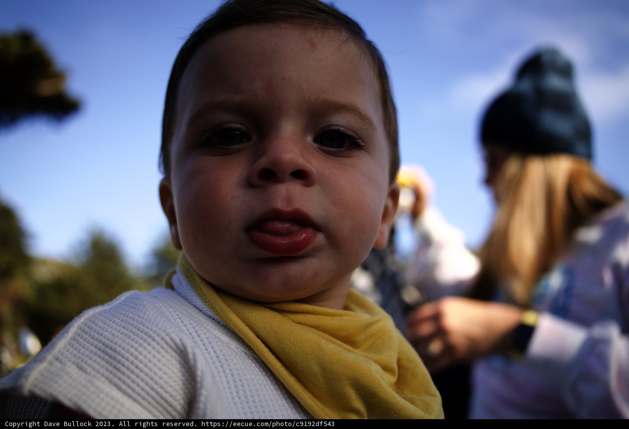 Sunset Mischief at SF Zoo