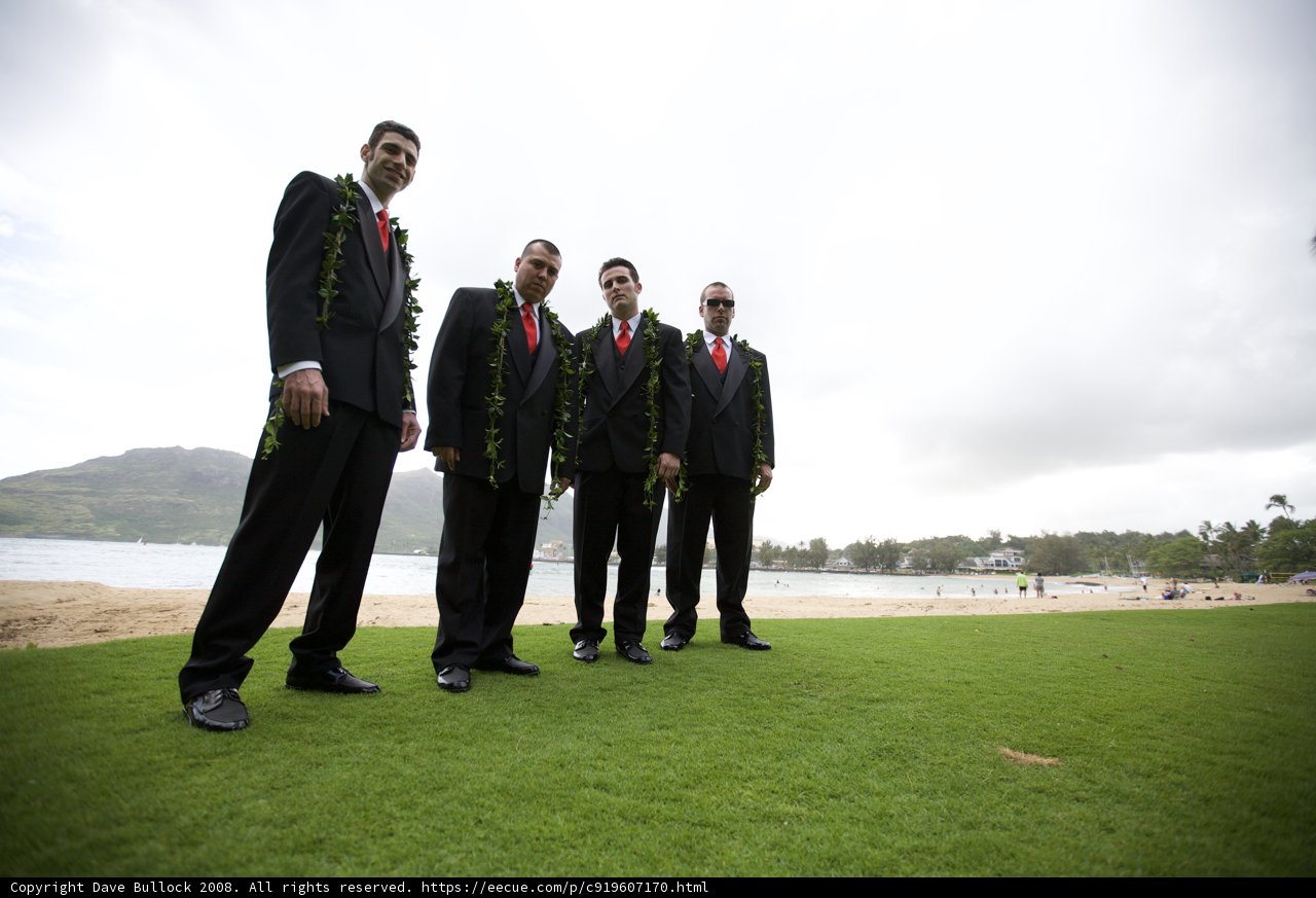 Four Groomsmen Posing on the Green Lawns