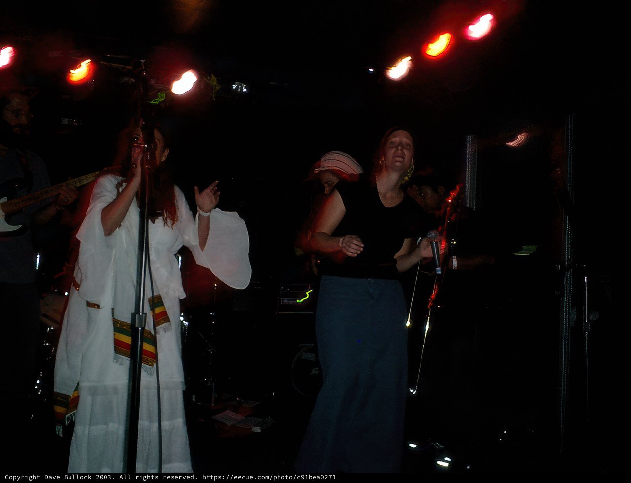 Spotlight on a Musical Talent