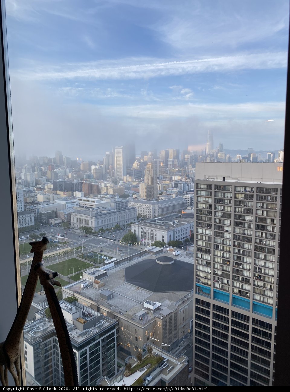 Giraffe's View of the San Francisco Skyline