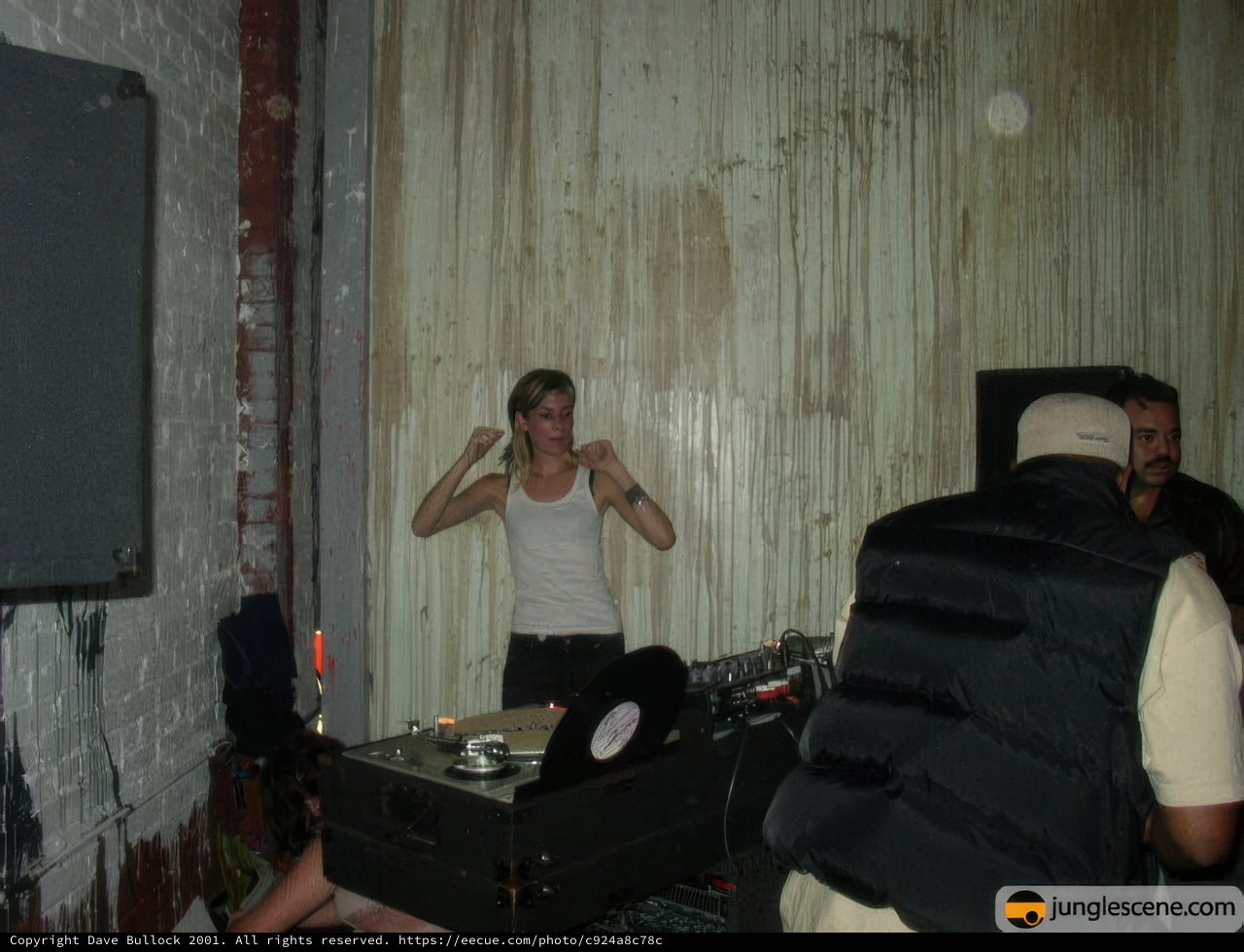 DJ in Action