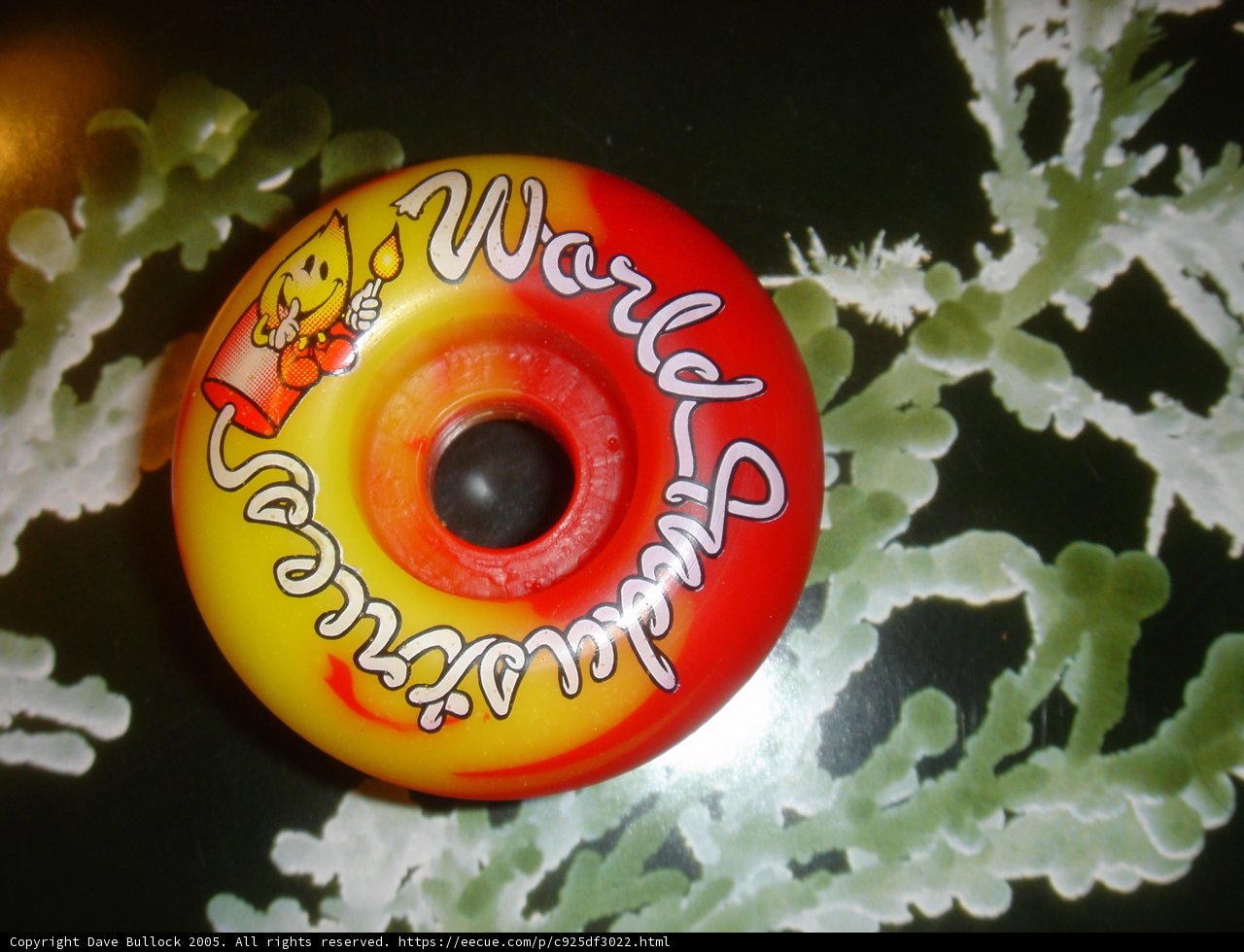 World Champion Skateboard