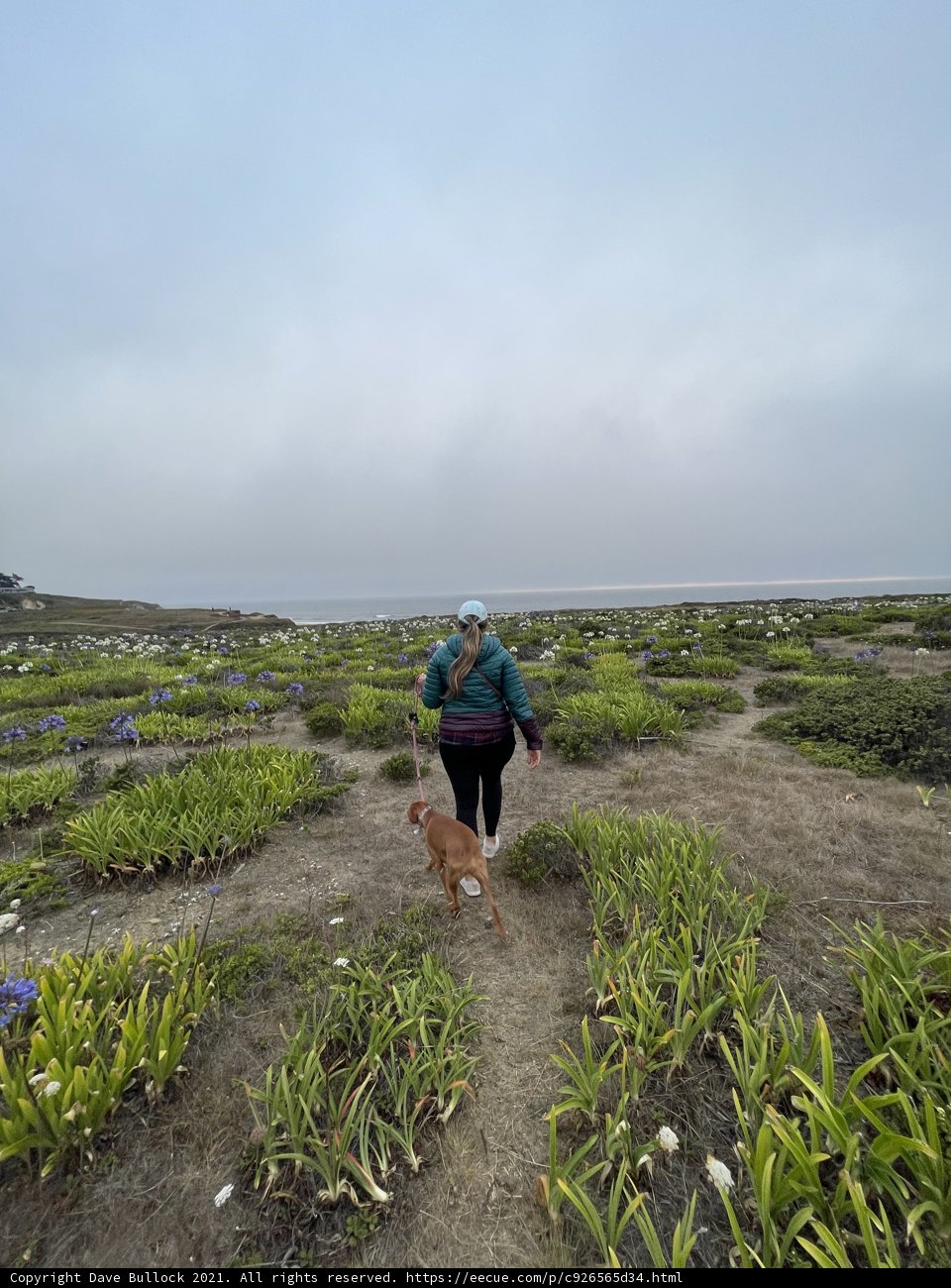 A Walk in the Golden Gate National Recreation Area